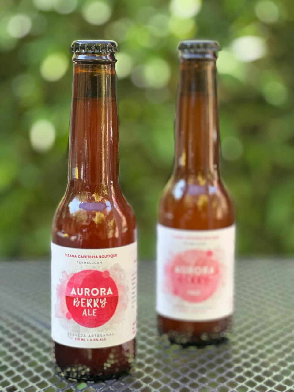 Cerveza Artesanal Aurora Berry Ale 210 ML